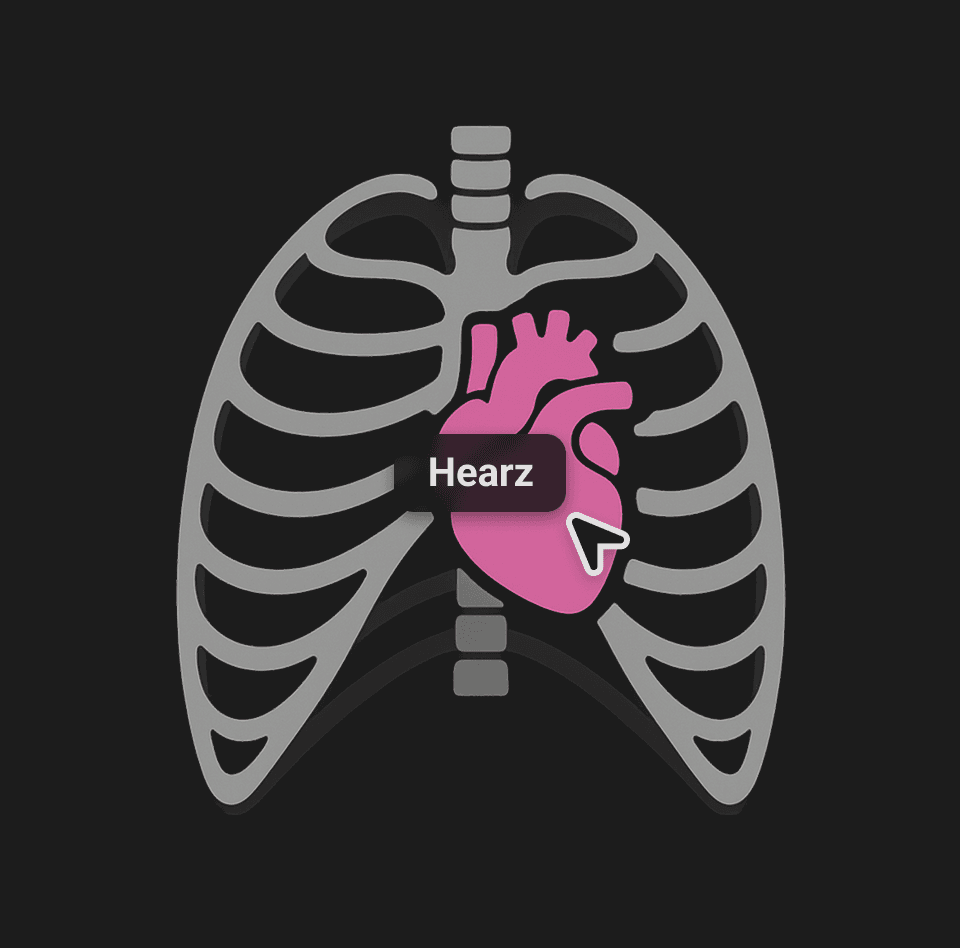 Automatische Identifikation von Organen auf medizinischen Bildern mit anatomischer Hervorhebung.